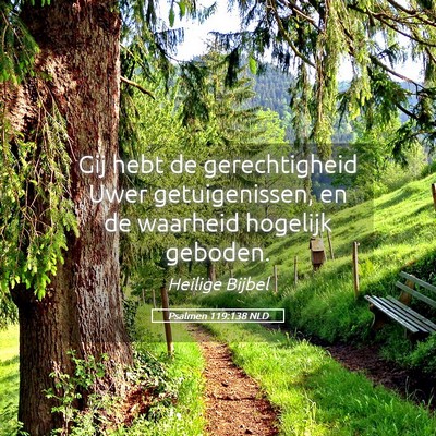 Picture 05 - Psalmen 119:138 NLD - Gij hebt de gerechtigheid Uwer getuigenissen, en - Bible Verse Picture