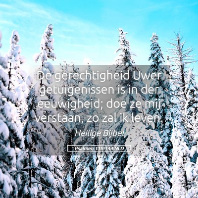 Picture 05 - Psalmen 119:144 NLD - De gerechtigheid Uwer getuigenissen is in der - Bible Verse Picture