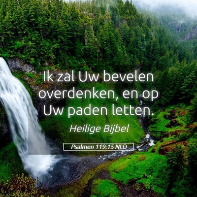 Picture 05 - Psalmen 119:15 NLD - Ik zal Uw bevelen overdenken, en op Uw paden - Bible Verse Picture
