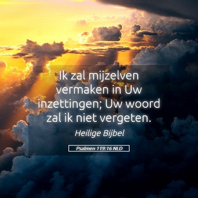 Picture 05 - Psalmen 119:16 NLD - Ik zal mijzelven vermaken in Uw inzettingen; Uw - Bible Verse Picture