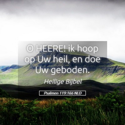 Picture 05 - Psalmen 119:166 NLD - O HEERE! ik hoop op Uw heil, en doe Uw - Bible Verse Picture