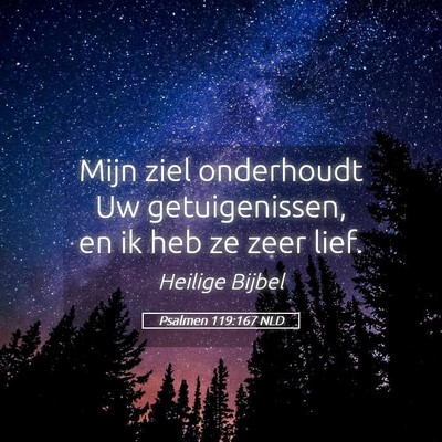 Picture 05 - Psalmen 119:167 NLD - Mijn ziel onderhoudt Uw getuigenissen, en ik heb - Bible Verse Picture