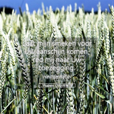 Picture 05 - Psalmen 119:170 NLD - Laat mijn smeken voor Uw aanschijn komen, red mij - Bible Verse Picture