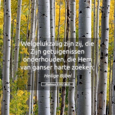Picture 05 - Psalmen 119:2 NLD - Welgelukzalig zijn zij, die Zijn getuigenissen - Bible Verse Picture