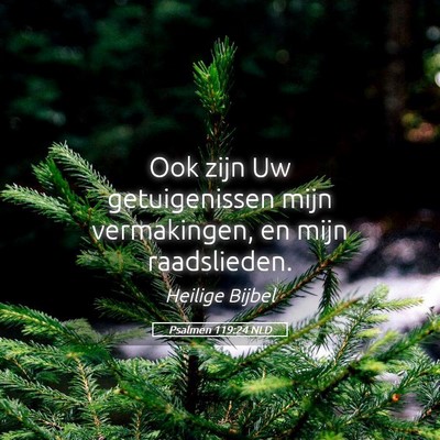 Picture 05 - Psalmen 119:24 NLD - Ook zijn Uw getuigenissen mijn vermakingen, en - Bible Verse Picture