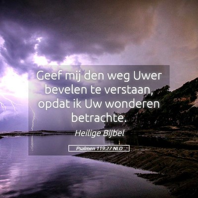 Picture 05 - Psalmen 119:27 NLD - Geef mij den weg Uwer bevelen te verstaan, opdat - Bible Verse Picture