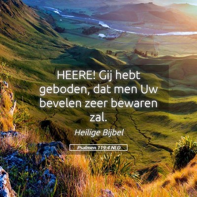 Picture 05 - Psalmen 119:4 NLD - HEERE! Gij hebt geboden, dat men Uw bevelen zeer - Bible Verse Picture
