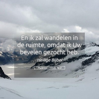Picture 05 - Psalmen 119:45 NLD - En ik zal wandelen in de ruimte, omdat ik Uw - Bible Verse Picture