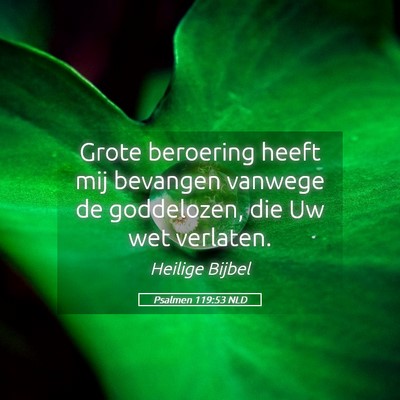 Picture 05 - Psalmen 119:53 NLD - Grote beroering heeft mij bevangen vanwege de - Bible Verse Picture