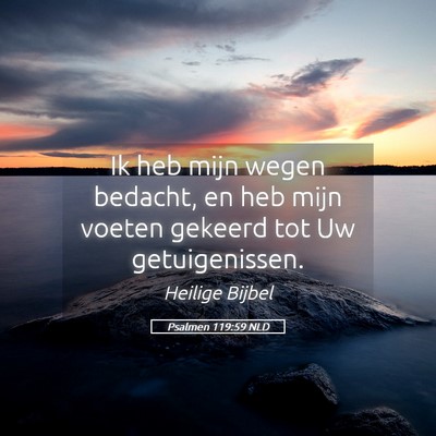 Picture 05 - Psalmen 119:59 NLD - Ik heb mijn wegen bedacht, en heb mijn voeten - Bible Verse Picture