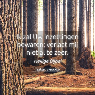 Picture 05 - Psalmen 119:8 NLD - Ik zal Uw inzettingen bewaren; verlaat mij niet - Bible Verse Picture