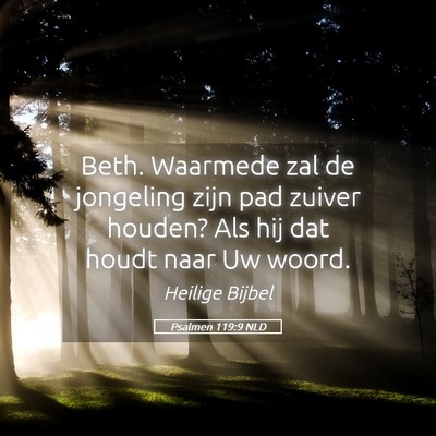 Picture 05 - Psalmen 119:9 NLD - Beth. Waarmede zal de jongeling zijn pad zuiver - Bible Verse Picture