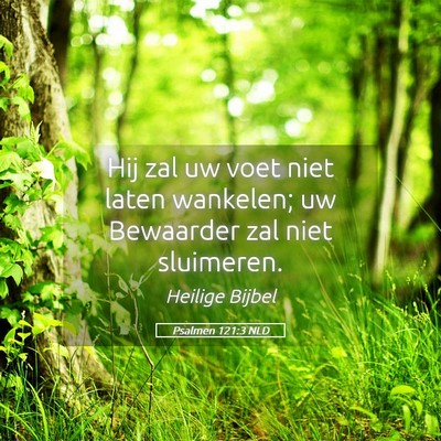 Picture 05 - Psalmen 121:3 NLD - Hij zal uw voet niet laten wankelen; uw Bewaarder - Bible Verse Picture