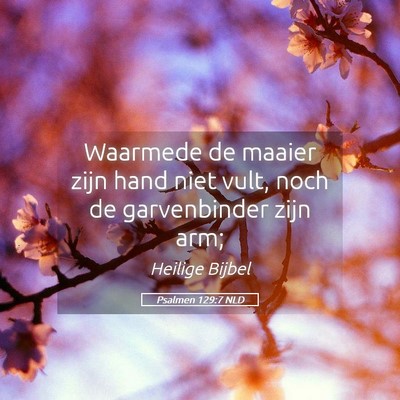 Picture 05 - Psalmen 129:7 NLD - Waarmede de maaier zijn hand niet vult, noch de - Bible Verse Picture