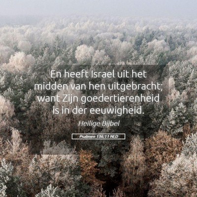 Picture 05 - Psalmen 136:11 NLD - En heeft Israel uit het midden van hen - Bible Verse Picture