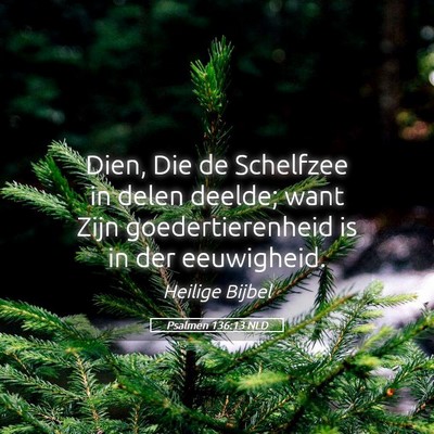 Picture 05 - Psalmen 136:13 NLD - Dien, Die de Schelfzee in delen deelde; want Zijn - Bible Verse Picture