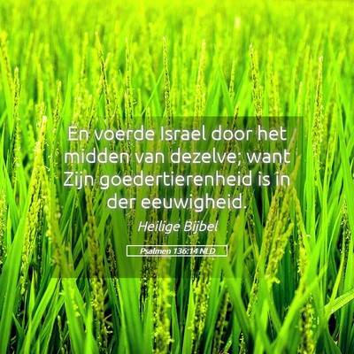 Picture 05 - Psalmen 136:14 NLD - En voerde Israel door het midden van dezelve; - Bible Verse Picture
