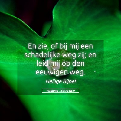 Picture 05 - Psalmen 139:24 NLD - En zie, of bij mij een schadelijke weg zij; en - Bible Verse Picture
