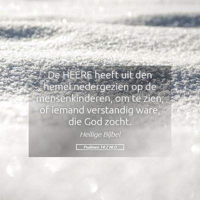 Picture 05 - Psalmen 14:2 NLD - De HEERE heeft uit den hemel nedergezien op de - Bible Verse Picture