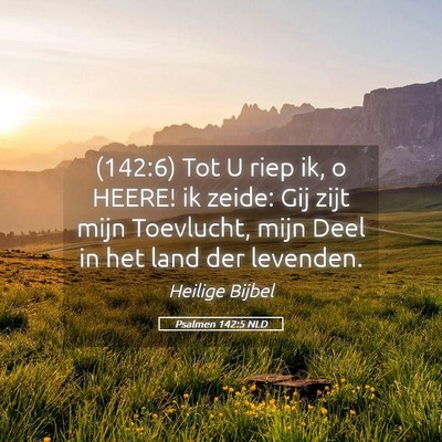 Picture 05 - Psalmen 142:5 NLD - (142:6) Tot U riep ik, o HEERE! ik zeide: Gij - Bible Verse Picture