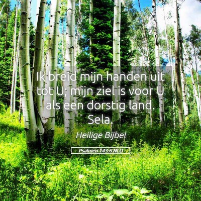 Picture 05 - Psalmen 143:6 NLD - Ik breid mijn handen uit tot U; mijn ziel is voor - Bible Verse Picture