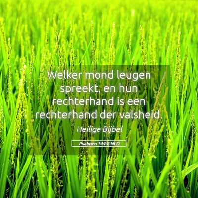 Picture 05 - Psalmen 144:8 NLD - Welker mond leugen spreekt, en hun rechterhand is - Bible Verse Picture