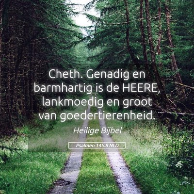 Picture 05 - Psalmen 145:8 NLD - Cheth. Genadig en barmhartig is de HEERE, - Bible Verse Picture