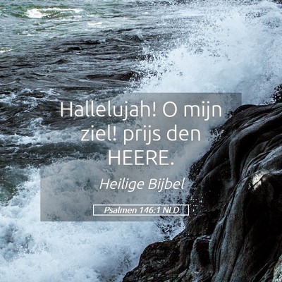 Picture 05 - Psalmen 146:1 NLD - Hallelujah! O mijn ziel! prijs den - Bible Verse Picture