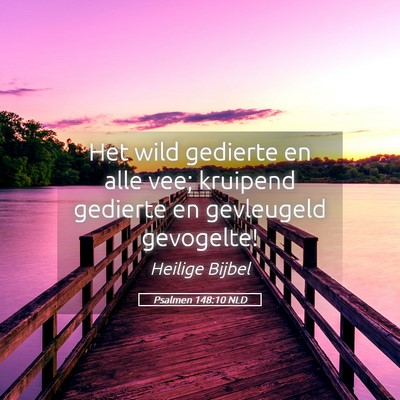 Picture 05 - Psalmen 148:10 NLD - Het wild gedierte en alle vee; kruipend gedierte - Bible Verse Picture