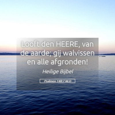 Picture 05 - Psalmen 148:7 NLD - Looft den HEERE, van de aarde; gij walvissen en - Bible Verse Picture