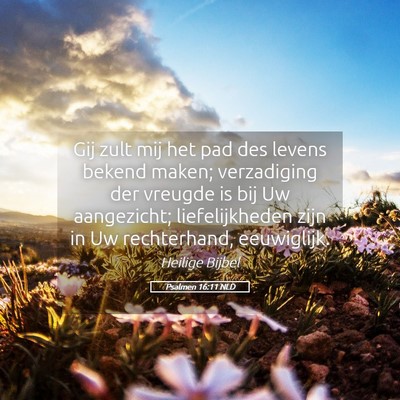 Picture 05 - Psalmen 16:11 NLD - Gij zult mij het pad des levens bekend maken; - Bible Verse Picture