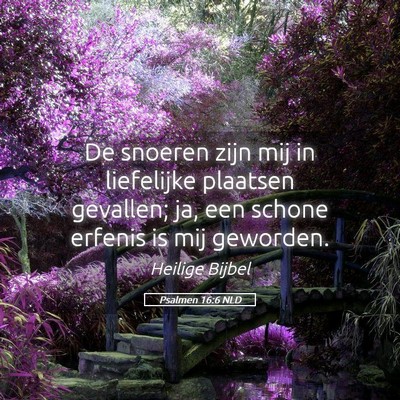 Picture 05 - Psalmen 16:6 NLD - De snoeren zijn mij in liefelijke plaatsen - Bible Verse Picture