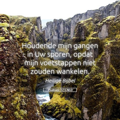 Picture 05 - Psalmen 17:5 NLD - Houdende mijn gangen in Uw sporen, opdat mijn - Bible Verse Picture