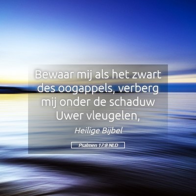 Picture 05 - Psalmen 17:8 NLD - Bewaar mij als het zwart des oogappels, verberg - Bible Verse Picture