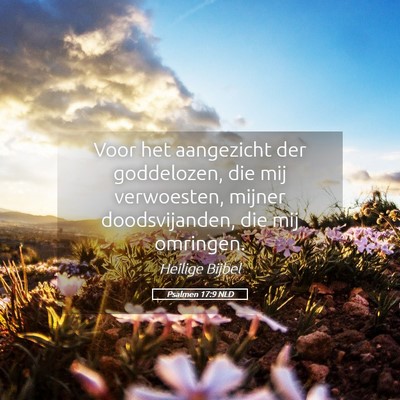 Picture 05 - Psalmen 17:9 NLD - Voor het aangezicht der goddelozen, die mij - Bible Verse Picture