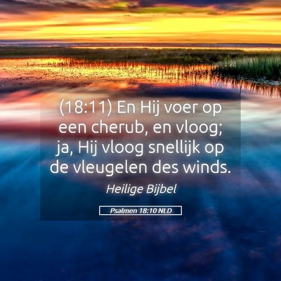 Picture 05 - Psalmen 18:10 NLD - (18:11) En Hij voer op een cherub, en vloog; ja, - Bible Verse Picture