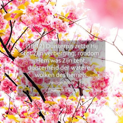Picture 05 - Psalmen 18:11 NLD - (18:12) Duisternis zette Hij tot Zijn verberging; - Bible Verse Picture