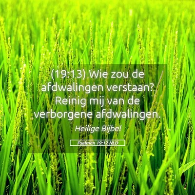 Picture 05 - Psalmen 19:12 NLD - (19:13) Wie zou de afdwalingen verstaan? Reinig - Bible Verse Picture