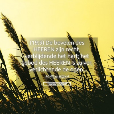 Picture 05 - Psalmen 19:8 NLD - (19:9) De bevelen des HEEREN zijn recht, - Bible Verse Picture