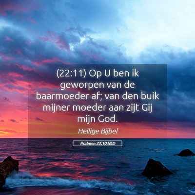 Picture 05 - Psalmen 22:10 NLD - (22:11) Op U ben ik geworpen van de baarmoeder - Bible Verse Picture