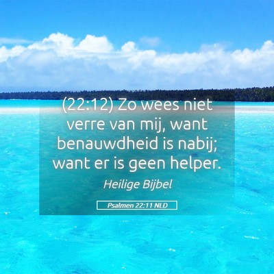 Picture 05 - Psalmen 22:11 NLD - (22:12) Zo wees niet verre van mij, want - Bible Verse Picture