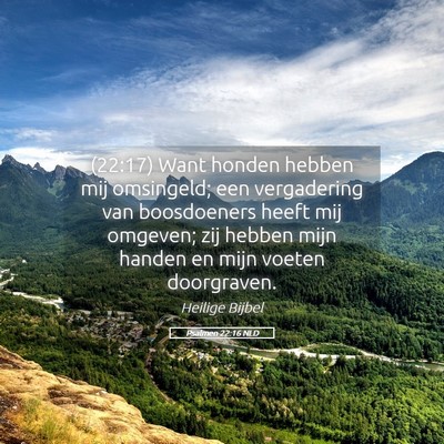 Picture 05 - Psalmen 22:16 NLD - (22:17) Want honden hebben mij omsingeld; een - Bible Verse Picture