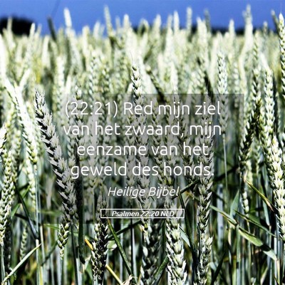 Picture 05 - Psalmen 22:20 NLD - (22:21) Red mijn ziel van het zwaard, mijn - Bible Verse Picture