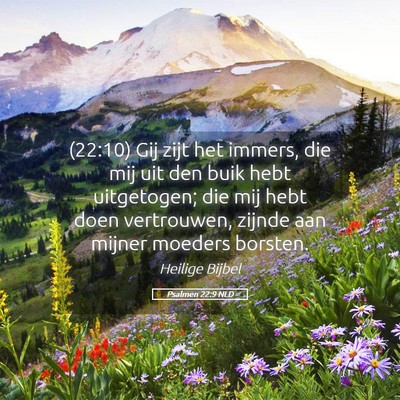 Picture 05 - Psalmen 22:9 NLD - (22:10) Gij zijt het immers, die mij uit den buik - Bible Verse Picture