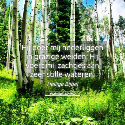 Picture 05 - Psalmen 23:2 NLD - Hij doet mij nederliggen in grazige weiden; Hij - Bible Verse Picture