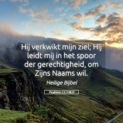 Picture 05 - Psalmen 23:3 NLD - Hij verkwikt mijn ziel; Hij leidt mij in het - Bible Verse Picture