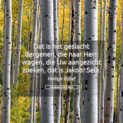 Picture 05 - Psalmen 24:6 NLD - Dat is het geslacht dergenen, die naar Hem - Bible Verse Picture