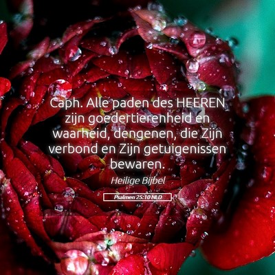 Picture 05 - Psalmen 25:10 NLD - Caph. Alle paden des HEEREN zijn goedertierenheid - Bible Verse Picture