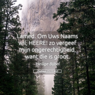 Picture 05 - Psalmen 25:11 NLD - Lamed. Om Uws Naams wil, HEERE! zo vergeef mijn - Bible Verse Picture