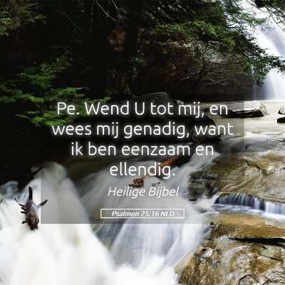 Picture 05 - Psalmen 25:16 NLD - Pe. Wend U tot mij, en wees mij genadig, want ik - Bible Verse Picture